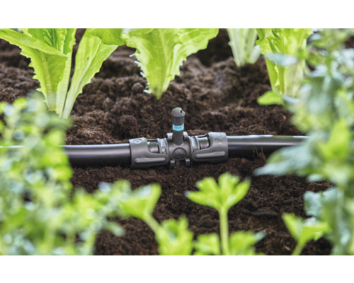 Sistem de irigare cu picurător în stratul de grădină printre plante