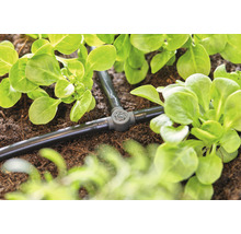 Sistem de irigare prin picurare în grădină cu plante