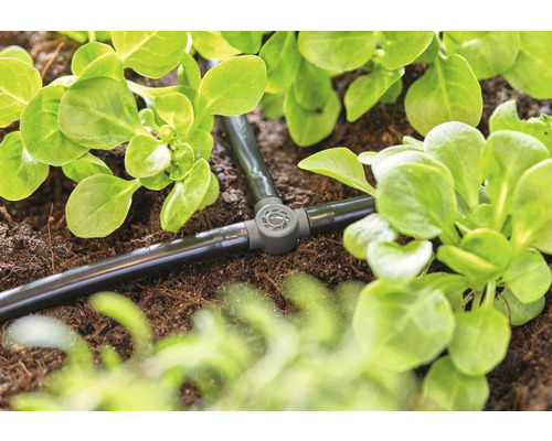 Sistem de irigare prin picurare în grădină cu plante