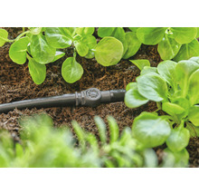 Furtun de irigare prin picurare cu supapă de reglare între plantele din grădină