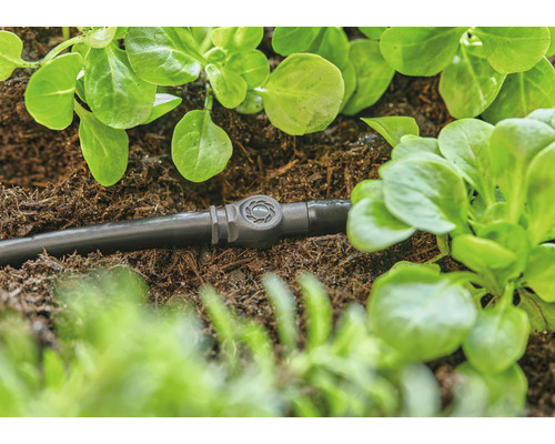 Furtun de irigare prin picurare cu supapă de reglare între plantele din grădină