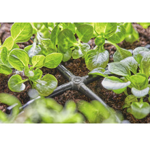 Sistem de irigare cu distribuitor între plantele din grădină