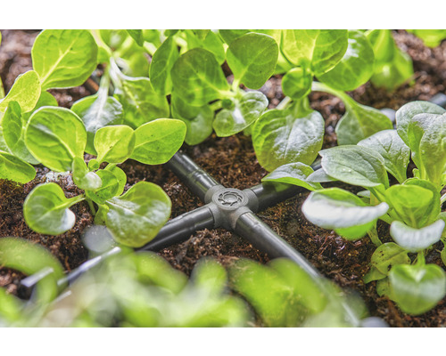 Sistem de irigare cu distribuitor între plantele din grădină