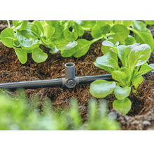 Sistem de irigare cu tub de picurare și plante