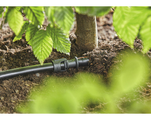 Sistem de irigare cu element de conectare pentru furtun de picurare sub un copac