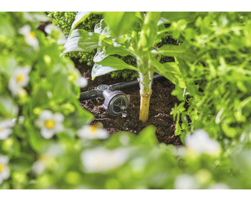 Irigare prin picurare în grădină pentru udarea plantelor.