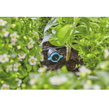 Irigare prin picurare într-un strat de grădină pentru udarea plantelor