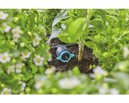 Irigare prin picurare într-un strat de grădină pentru udarea plantelor