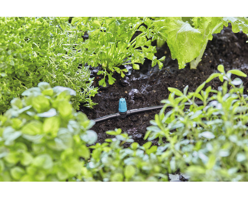 Sistem de irigare cu picurătoare între diferite plante