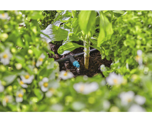 Sistem de irigare prin picurare într-o grădină cu plante