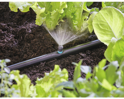 Sistem de irigare în uz pentru udarea plantelor într-un strat de grădină