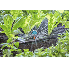 Aspersor Micro Gardena Solo 13324-20 racord 3/16", 6 jeturi, plastic negru