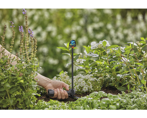 Irigarea grădinii cu aspersor cu suprafețe multiple în stratul de flori