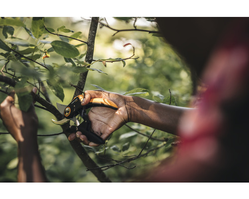 O persoană taie o ramură cu o foarfecă de grădină.