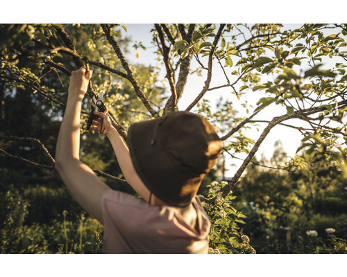 O persoană cu pălărie taie ramuri dintr-un copac cu o foarfecă de grădinărit.