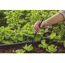 Instalarea unui sistem de irigare în grădină pentru a aproviziona cu apă plantele de salată