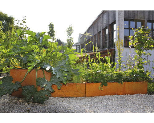 Jardineală înălțată plantată cu legume și ierburi în fața unei clădiri