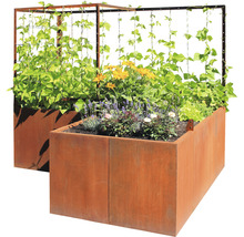 Două jardiniere metalice înalte plantate, cu suport pentru plante agățătoare