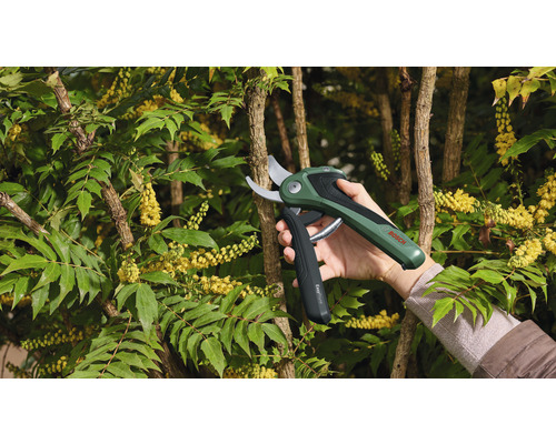 Logo Bosch. O mână ține un foarfece de grădină cu acumulator care taie o ramură pe un arbust.