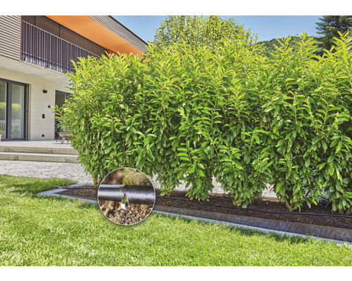 Sistem de irigare prin picurare în grădină pentru udarea plantelor