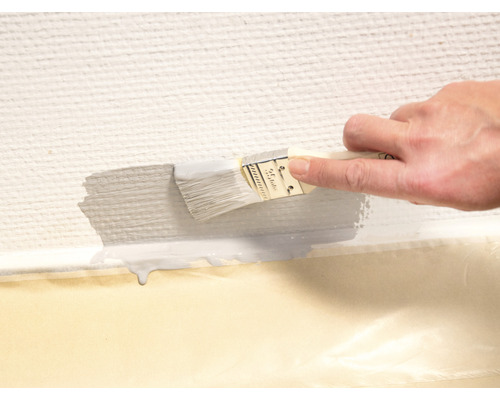 Vopsirea unui perete cu o pensulă