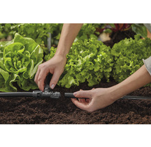 Instalarea unui sistem de irigare pentru grădină cu plante de salată