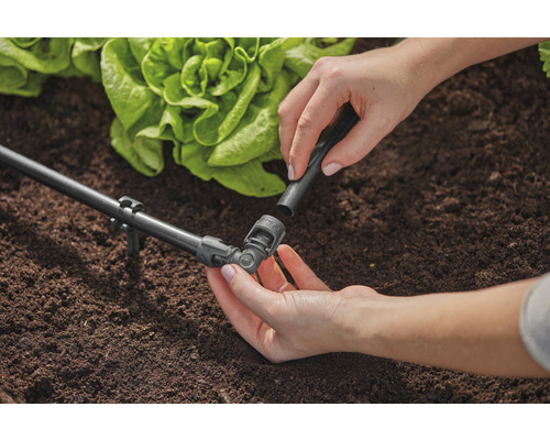 Scenă de grădină cu sistem de irigație și o persoană care fixează o piesă de conectare.