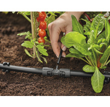 Sistem de irigare prin picurare utilizat pentru udarea plantelor din grădină.
