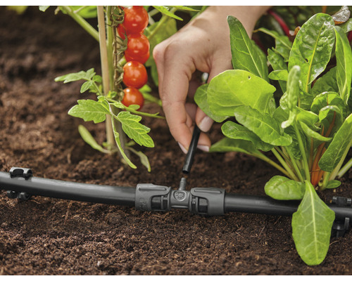 Sistem de irigare prin picurare utilizat pentru udarea plantelor din grădină.