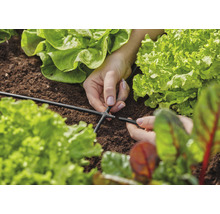 Prim-plan cu mâini care atașează un conector la un furtun de irigare într-o grădină de legume.