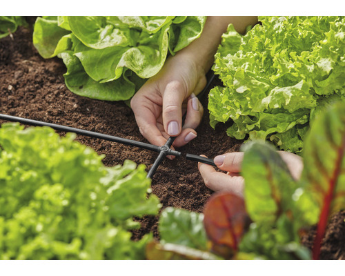 Prim-plan cu mâini care atașează un conector la un furtun de irigare într-o grădină de legume.