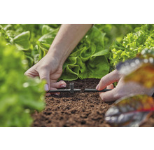Instalare sistem de irigare în grădină cu plante de salată