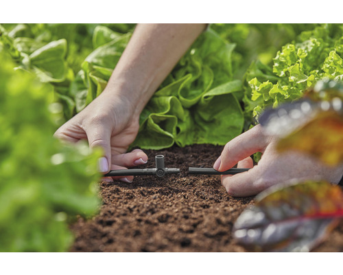 Instalare sistem de irigare în grădină cu plante de salată