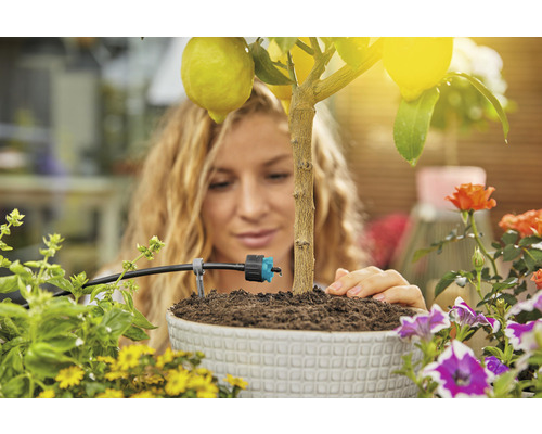 Femeie udând lămâiul în ghiveci cu sistem de irigare