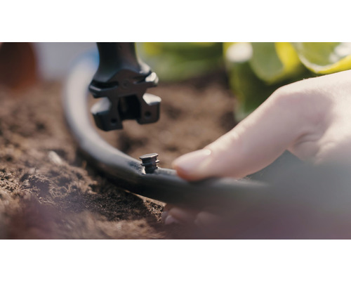 Instalarea sistemului de irigare cu mâna și picurător