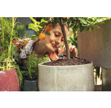 Aspersor arii restrânse Micro Gardena racord 3/16", plastic negru