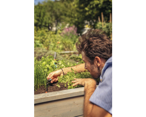 Bărbat instalează un sistem de irigare într-un strat înălțat cu ierburi și plante.