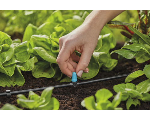 Prim-plan cu o persoană care fixează un picurător la un sistem de irigare în grădina de legume