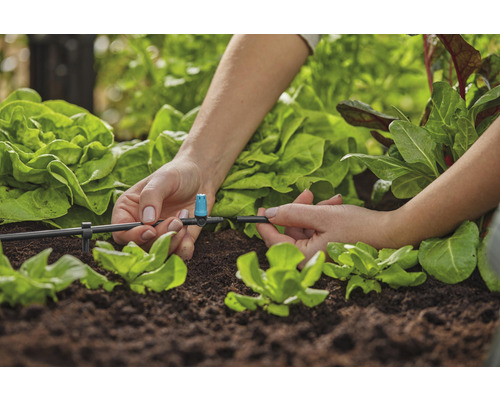 Instalarea unui sistem de irigare în grădina de legume