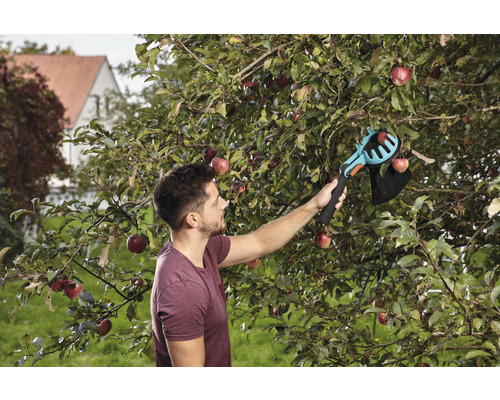 Un bărbat culege mere cu un culegător de mere în grădină.