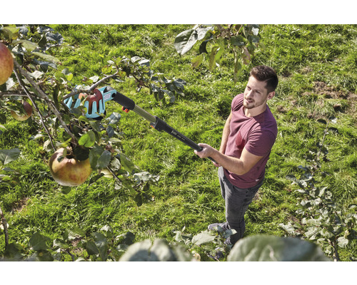 Un bărbat culege mere dintr-un pom cu un culegător de fructe