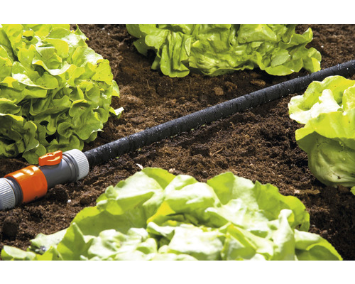Furtun de picurare pentru irigarea grădinii printre salate