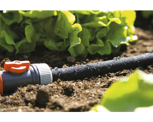 Furtun de picurare pentru irigații de grădină în stratul de flori cu salată