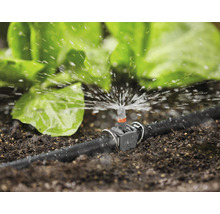 Sistem de irigare în grădină cu aspersor și plante