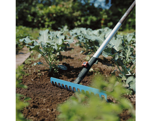 Scenă de grădină cu greblă pentru afânarea solului