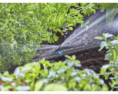 Sistem de irigare în uz între plantele din grădină