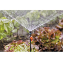 Scenă de grădină cu un aspersor pentru udarea plantelor