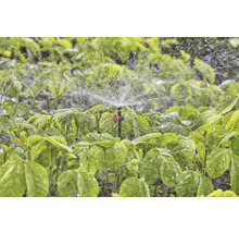 Aspersor 360° Micro Gardena GRADE 13322-20 racord 3/16", plastic negru