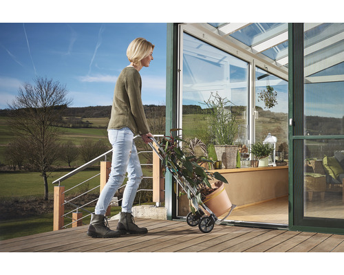 Femeie transportă o plantă într-o seră cu ajutorul unui cărucior pentru plante