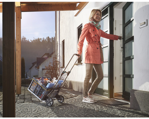 Femeie cu cărucior de cumpărături în fața ușii de la intrare